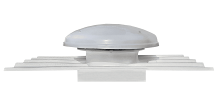 API_2023_PNG
