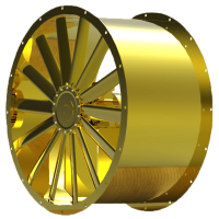 Golden Fan_PNG
